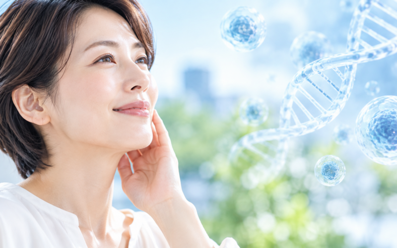 皮ふのリンパ管は加齢でどう変わるのか？2026年時点のリンパ管研究と、むくみ・たるみケアで確認したい線引き